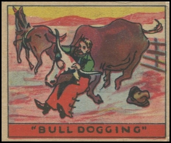 202 Bulldogging